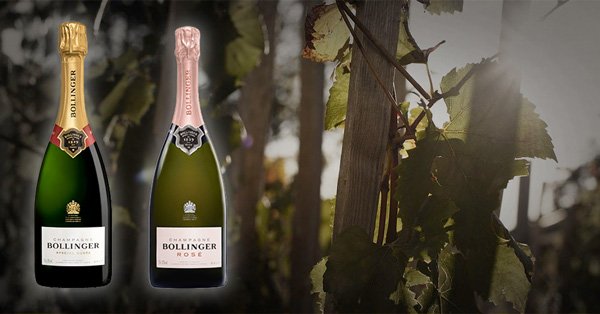 drankenpaleis bollinger